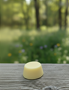 Condicionador sólido