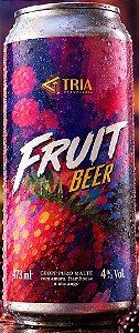 FRUIT (Lata 473 ML)
