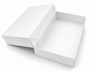 Caixa Multiuso 20x13x4 - Pct com 10 Unidades