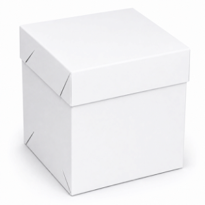 Caixinhas para Mini Bolos 6x6x6 - Pct com 10 Unidades