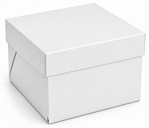 Caixinhas para Mini Bolos - 15x15x10 - Pct com 10 Unidades