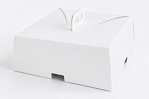 Caixas para Bolos e Tortas 20x20x9,5 - Pct com 10 Unidades