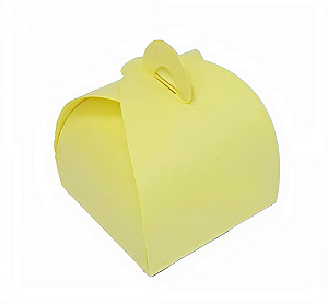 Caixinhas Valise 6,5x6,5x5 - Pct com 10 Unidades