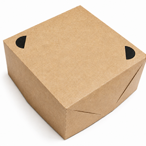Caixa para Lanches 20x20x6 - Pct com 10 Unidades