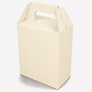 Caixa Maleta Sacolinha Surpresa 8x10,5x5 - Pct com 10 Unidades