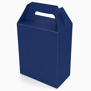 Caixa Maleta Sacolinha Surpresa 8x10,5x5 - Pct com 10 Unidades