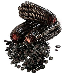 Milho Roxo Peruano / Maíz Morado Milho Preto 500g