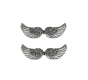 PAR DE BROCHE CADARÇO ASAS