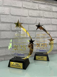Troféu em Acrílico Personalizado