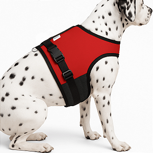 Coleira Peitoral Ergonômica com Guia para Cães – Ajustável e Antipuxão