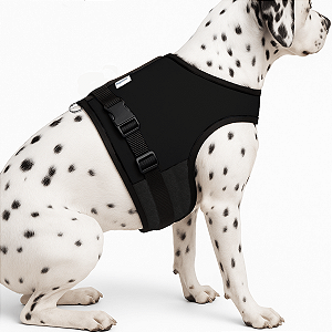 Coleira Peitoral Preta para Cachorro com Guia – Ajustável e Ergonômica