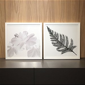 Conjunto de 2 quadros decorativos Flores e Folhas. Medida 40x40cm cada com moldura madeira branca.