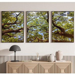 Conjunto com 3 quadros decorativos Árvore Verde e seus galhos.