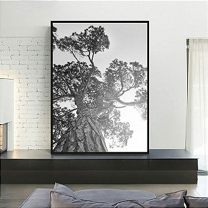 Quadro Decorativo árvore preto e branco. Coleção assinada: Daniel Kroth