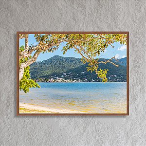 Quadro decorativo Lagoa clara.