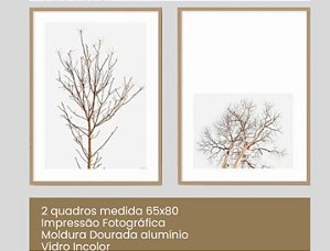 Pedido personalizado: 2 quadros com moldura alumínio dourada e ivdro incolor, medida 65x80cm cada.