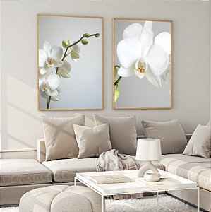 Conjunto com 2 quadros decorativos Orquídeas Brancas