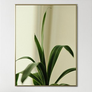 Quadro Decorativo Arte verde sublime