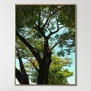 Quadro Decorativo Arte verde sublime
