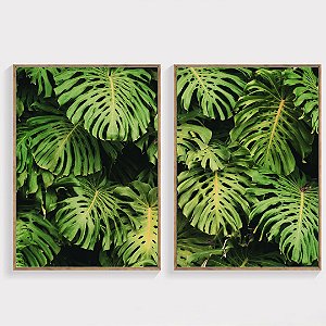 Conjunto com 2 quadros decorativos Folhas Costela de Adão.