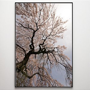 Quadro Decorativo Árvore com flores rosas.