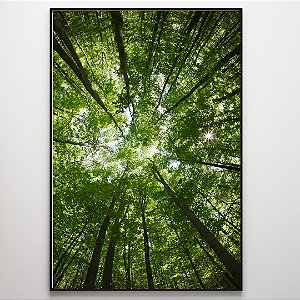 Quadro Decorativo Árvore Longa Verde.