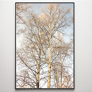 Quadro Decorativo Árvore com galhos secos.