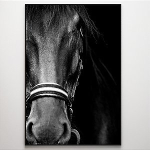 Quadro Decorativo Cavalo preto e branco.
