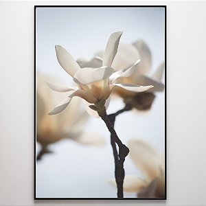 Quadro Decorativo Flor branca.