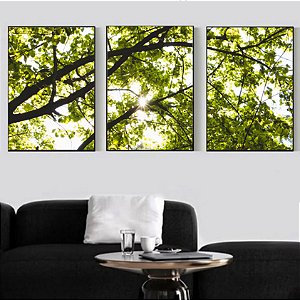 Conjunto com 3 quadros decorativos árvore e sol.