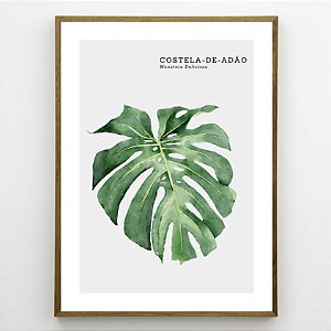 Quadro Decorativo Costela de Adão. Coleção Assinada: Paola Cury