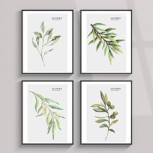 Conjunto de 4 quadros decorativos Oliveira. Coleção Assinada: Paola Cury