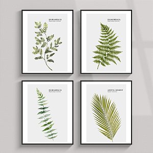 Conjunto de 2 Quadros Decorativo Samambaia. Coleção Assinada: Paola Cury