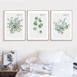 Conjunto de 3 quadros decorativos Eucalipto. Coleção Assinada: Paola Cury