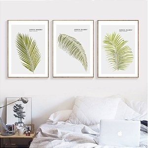 Conjunto de 3 quadros decorativos Areca-bambu. Coleção Assinada: Paola Cury