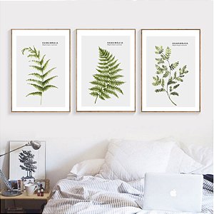 Conjunto de 3 quadros decorativos Samambaia. Coleção Assinada: Paola Cury