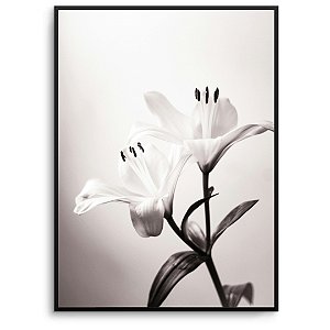 Quadro Decorativo Flor branca.