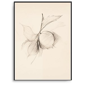 Quadro Decorativo Abstrato Fruta.