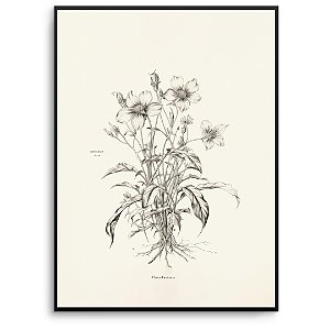 Quadro Decorativo Flores Abstratas.