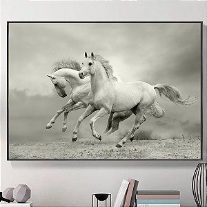 Quadro Decorativo Cavalos Brancos.