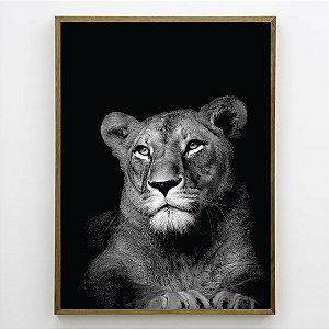 Quadro Decorativo Leoa preto e branco.