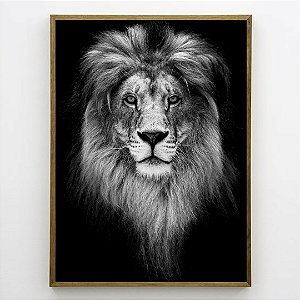 Quadro Decorativo Leão preto e branco.
