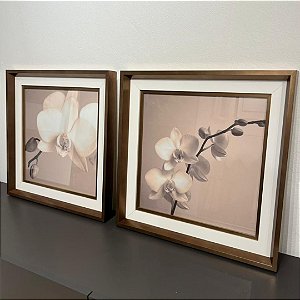 Conjunto de 2 quadros decorativos Orquídea. Medida 50x50cm cada com moldura tripla.
