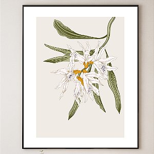 Quadro Decorativo Flor delicada. Coleção: Juliana Bambini