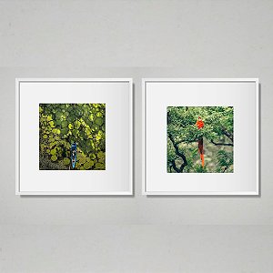 Amazônia - Conjunto 2 Quadros Decorativo Natureza. Coleção Assinada: Giovanna Gogosz