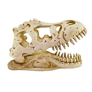 Toca Esqueleto M  Cabeça De Tiranossauro Rex Para Gecko e Corn Snake