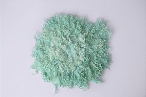 Layer Curly - Mint