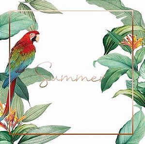 Pareô Summer
