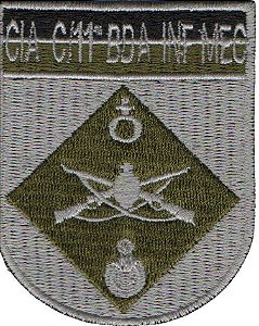 Bordado EB Distintivo de Organização Militar - CIA C/11ª BDA INF MEC
