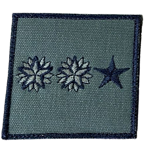 Insígnia de Baixa Visibilidade - Tenente Coronel